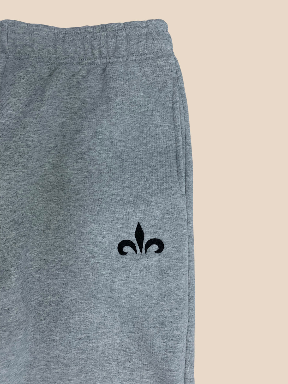 FAITH HOMETOWN JOGGER PANTS GRIS